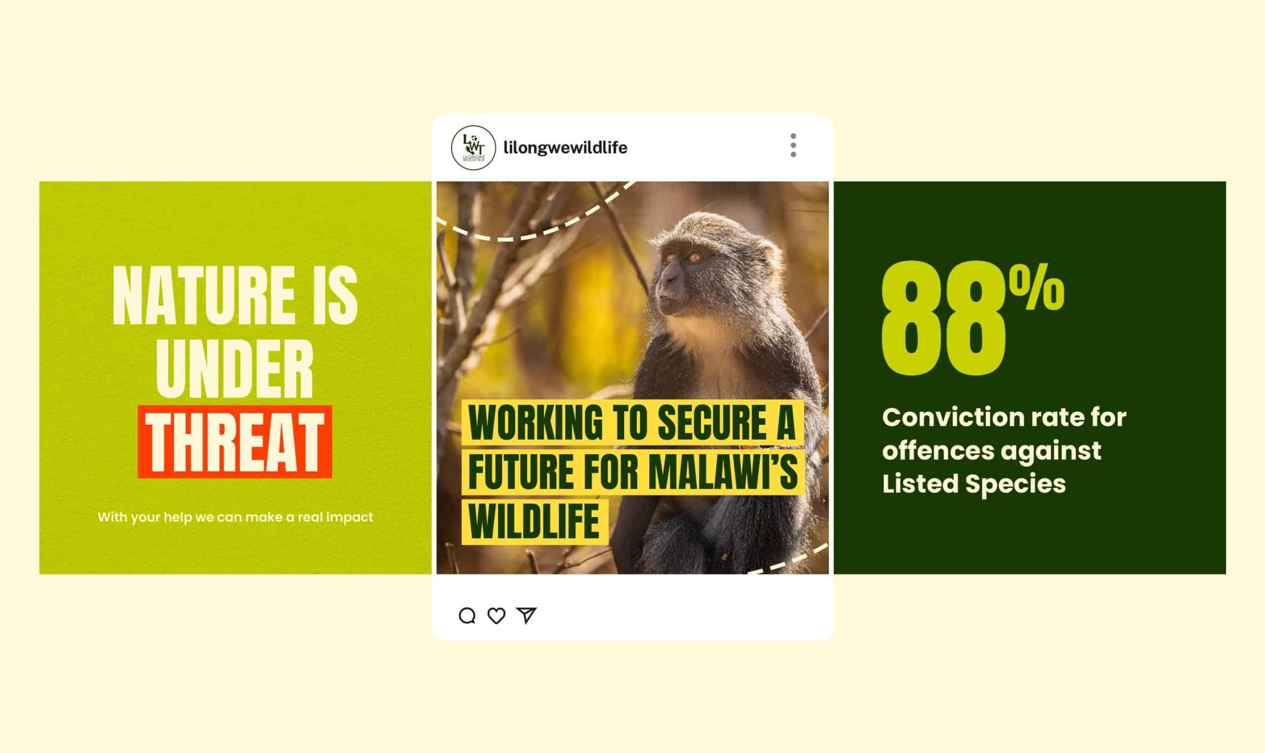 Protecting wildlife in Malawi to prevent threats and ensure conservation success.
